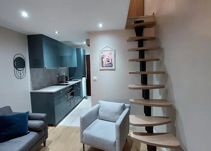 Apartment Duplex Moderne Proche Des Pistes, Acces - Fr-1-516-214 Les Deux Alpes