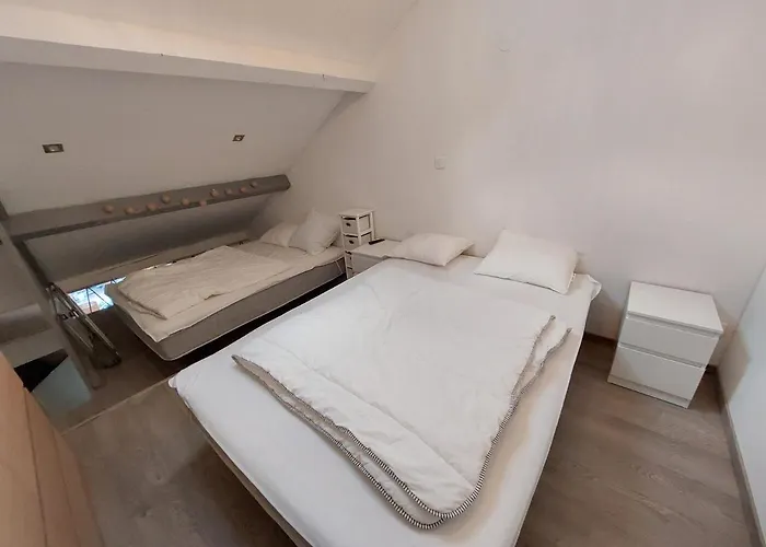 Apartment Duplex Moderne Proche Des Pistes, Acces - Fr-1-516-214